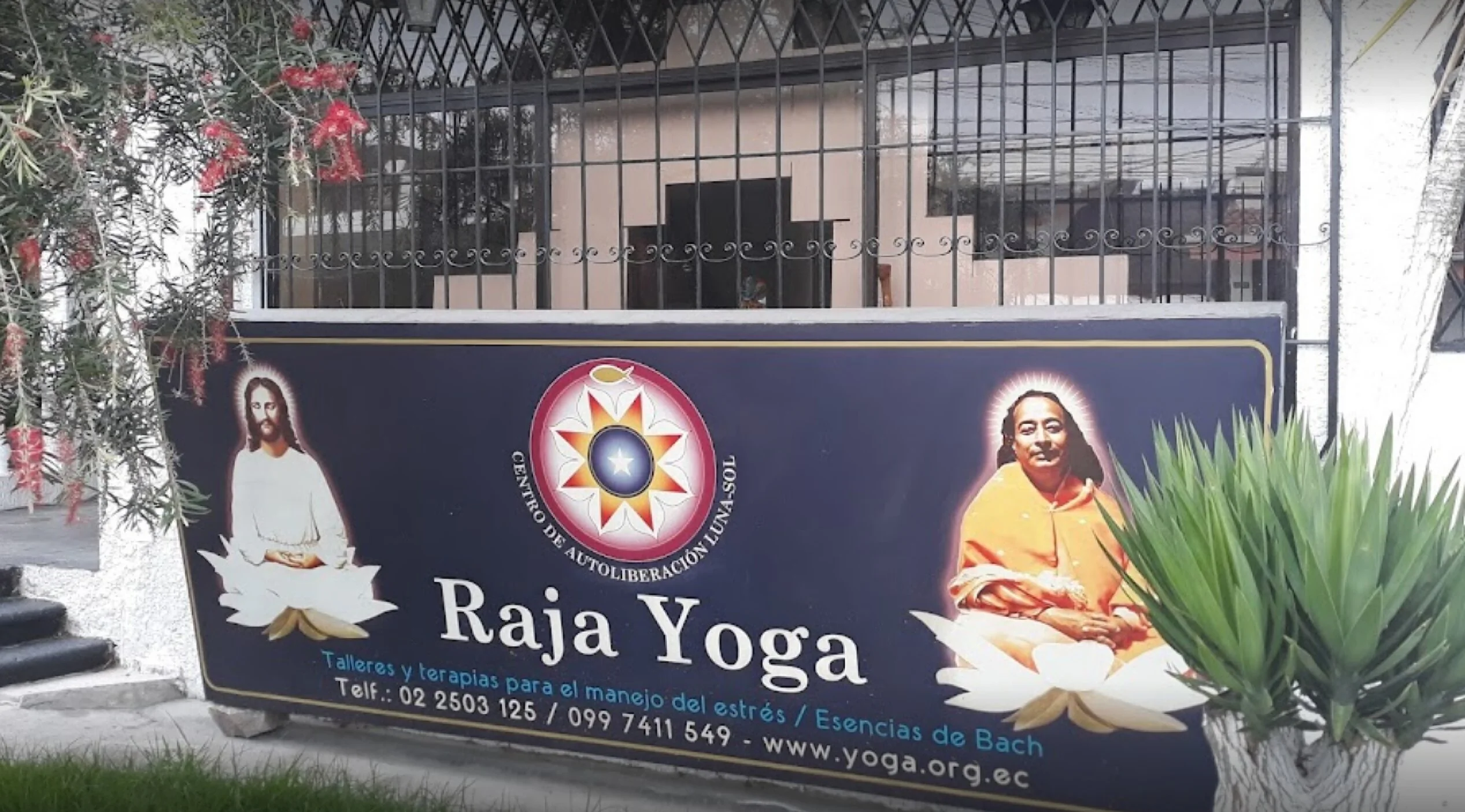 Raja Yoga Luna Sol-346