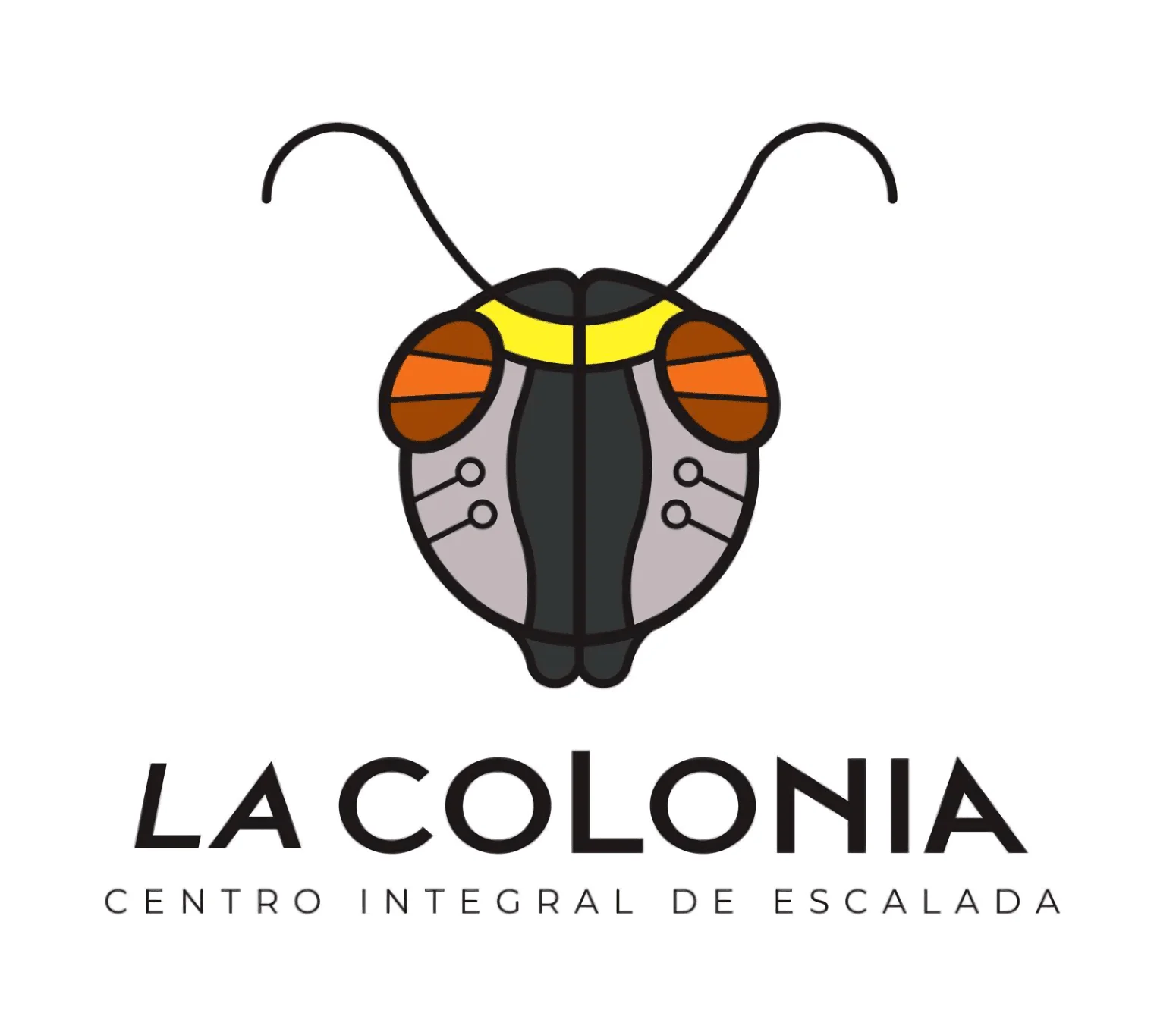 La Colonia Centro Integral de Escalada-1338
