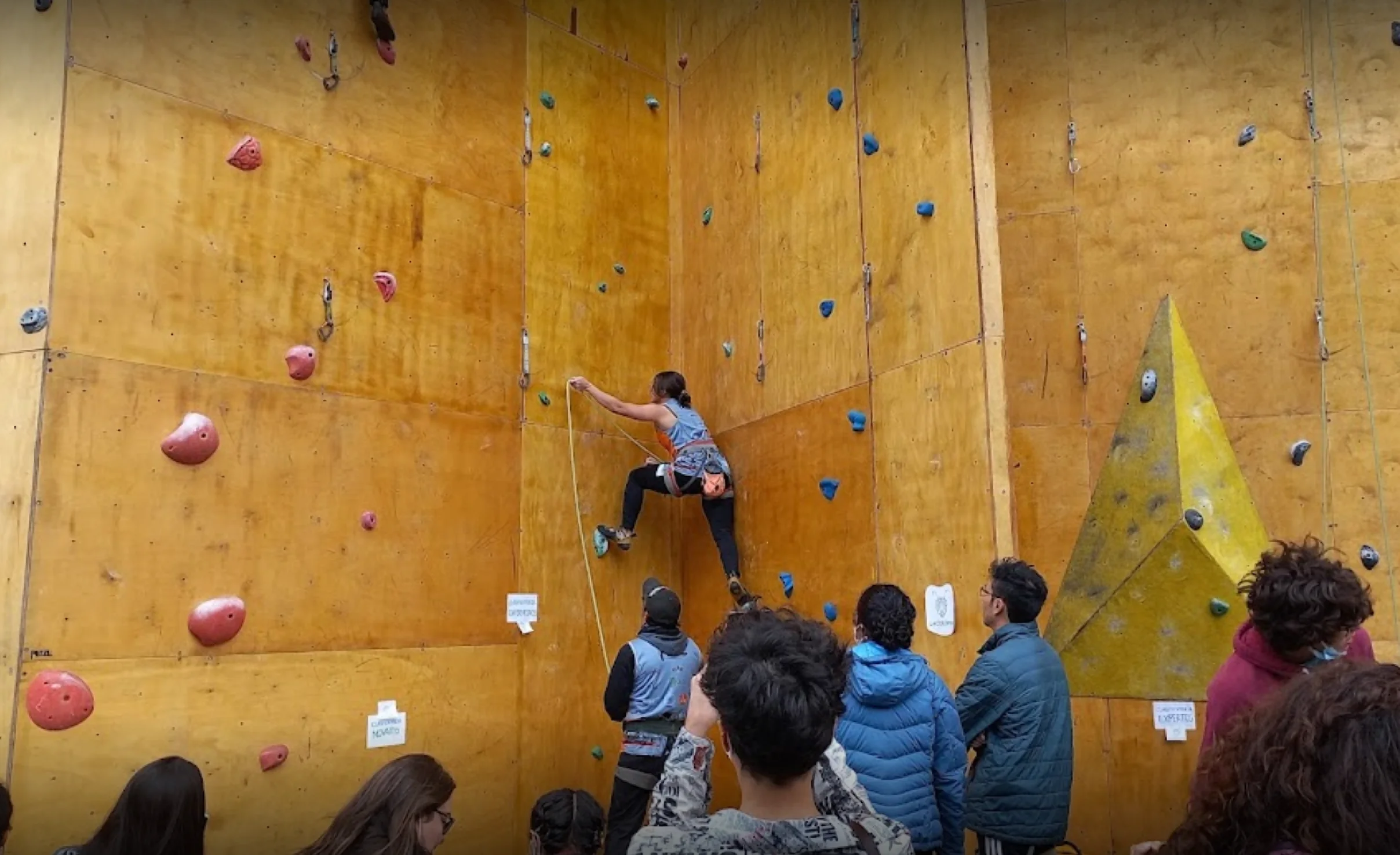 Gimnasio-la-colonia-centro-integral-de-escalada-10245