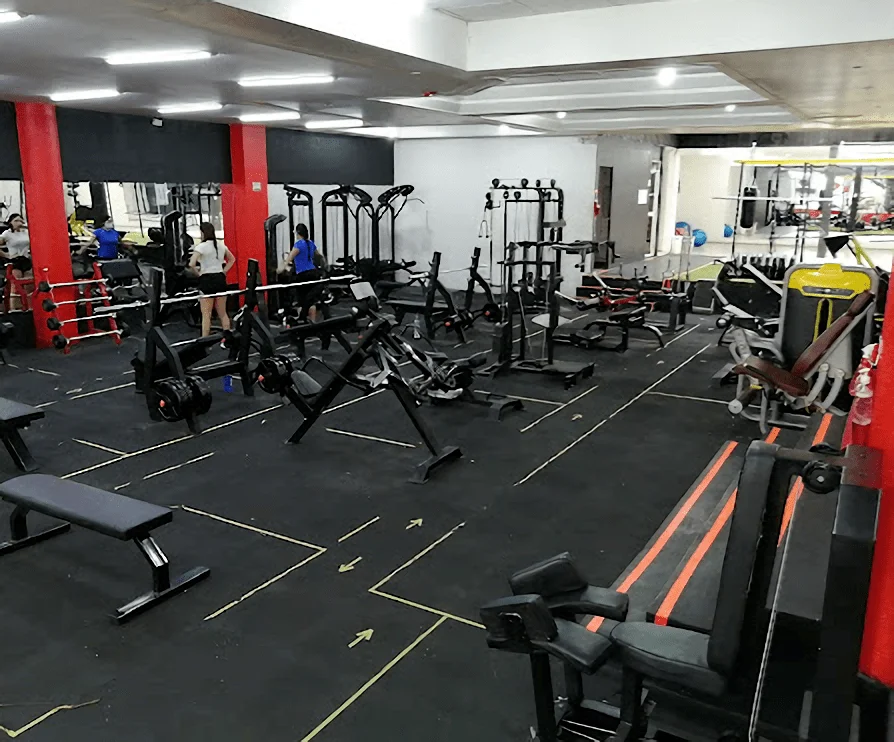 Gimnasio-monster-gym-sede-foch-10292