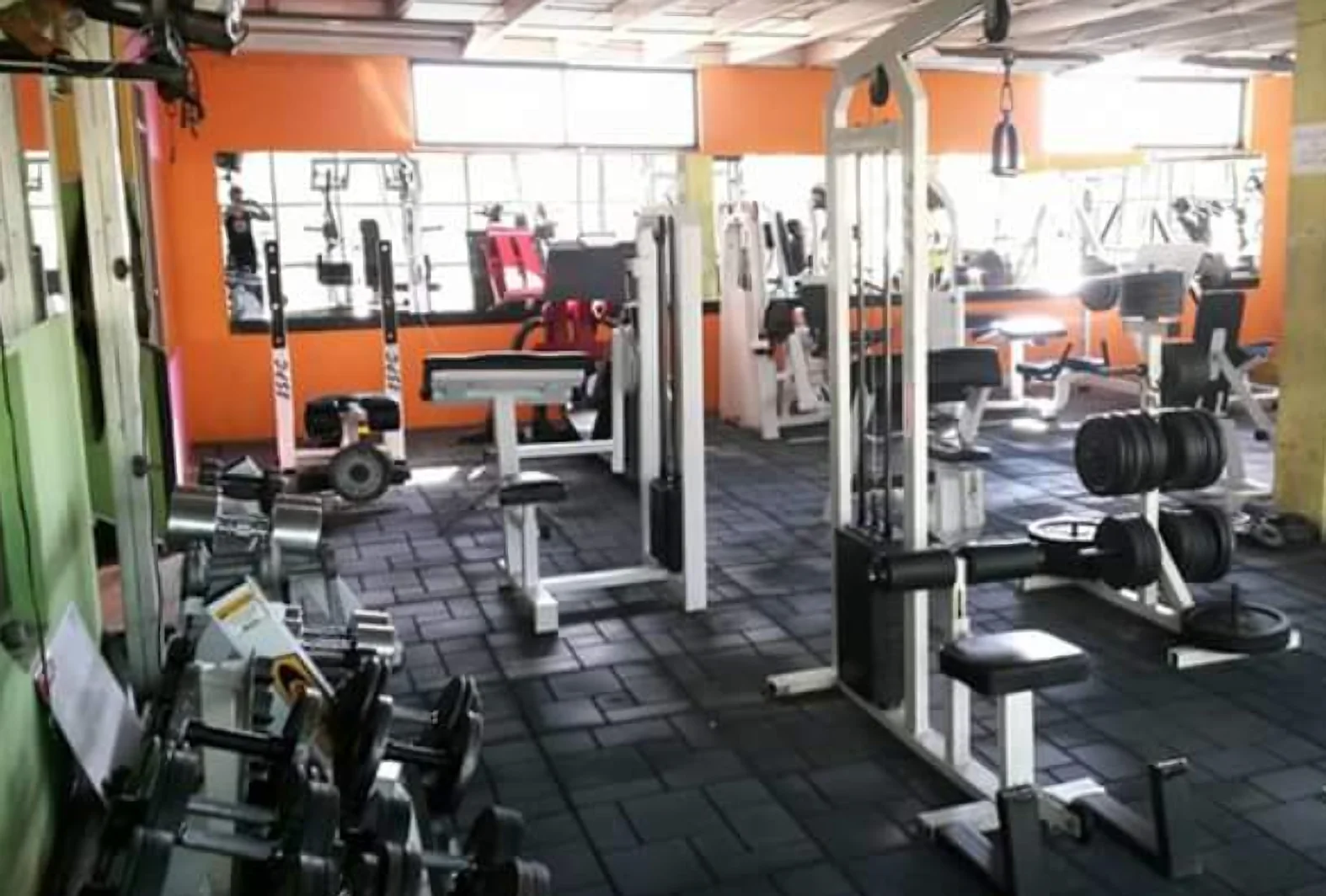 Gimnasio-patito-gym-10338