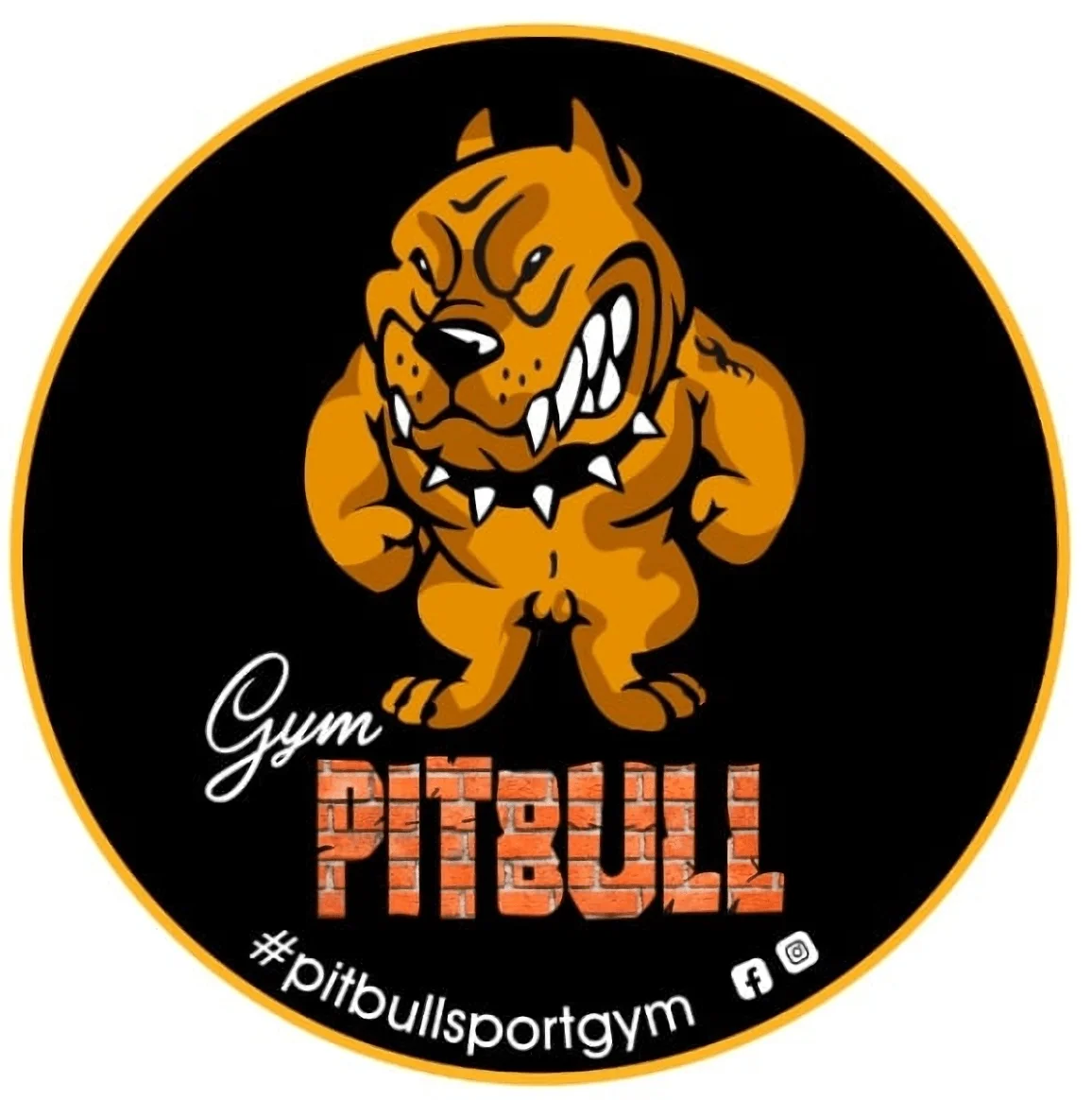 Gimnasio-pitbullsportgym-10370