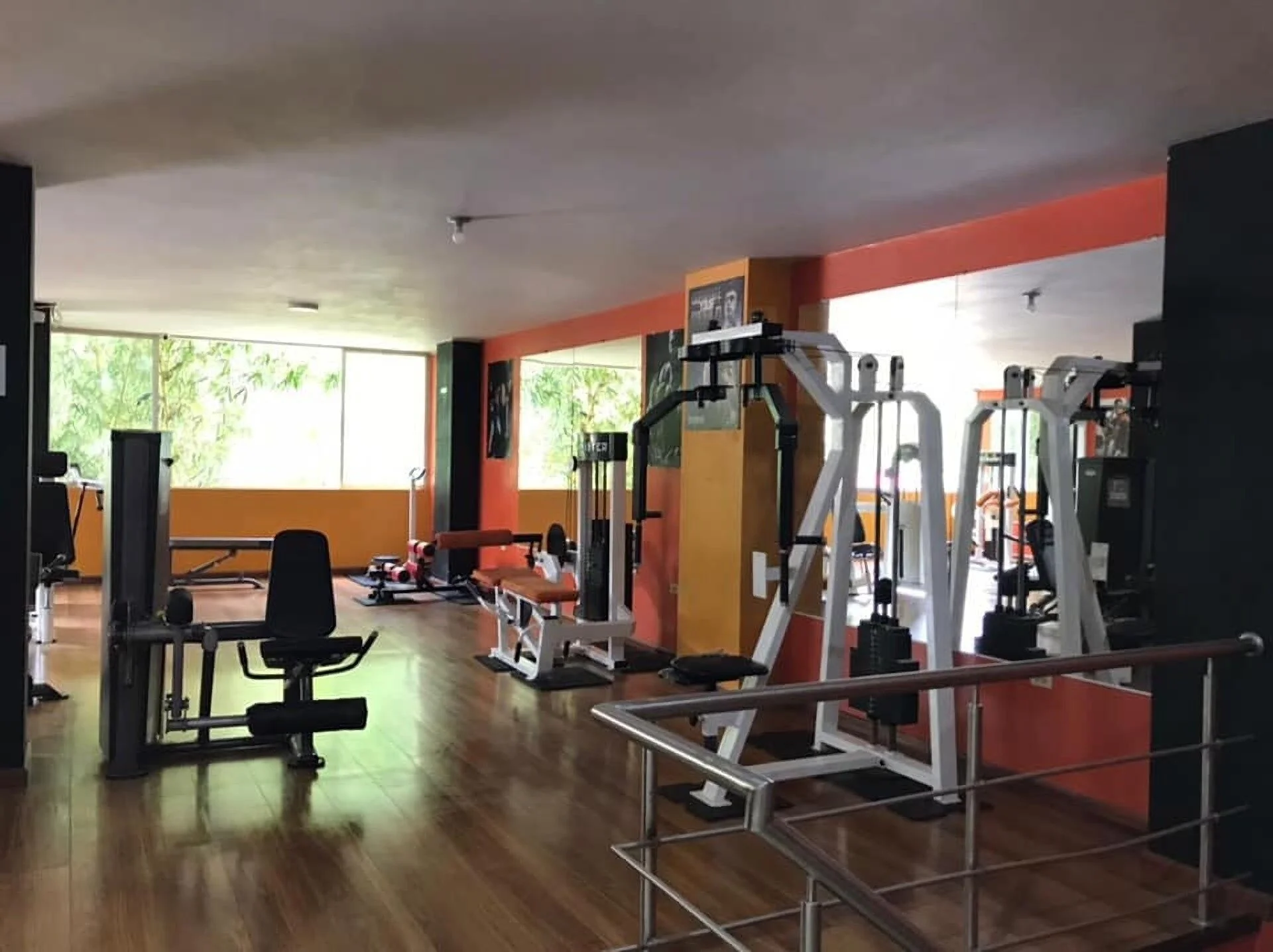 Gimnasio-gym-master-11524