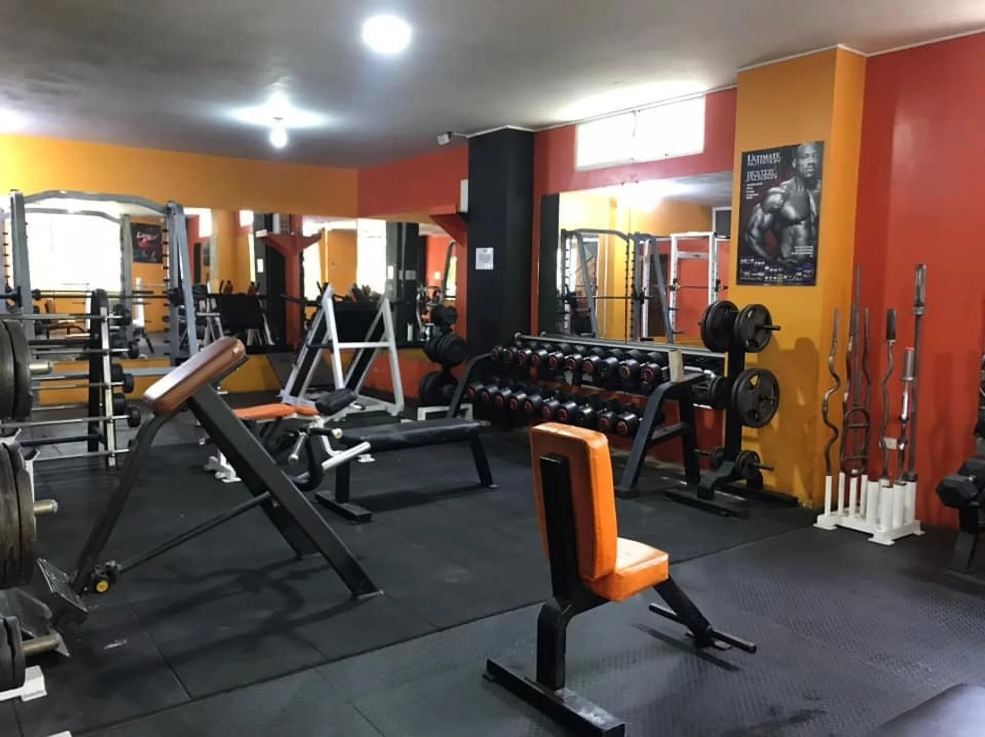 Gimnasio-gym-master-11525