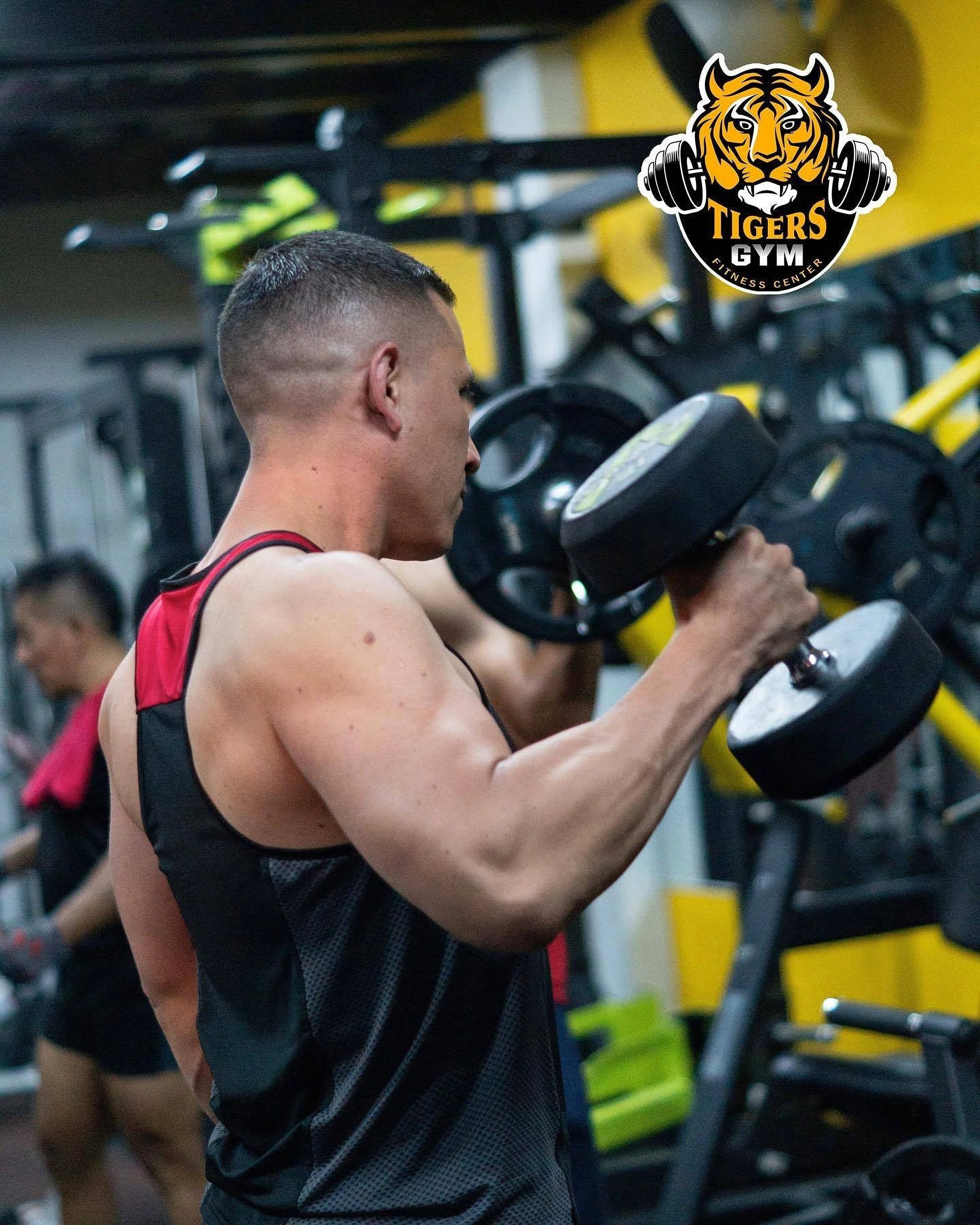 Gimnasio-tigers-gym-11545