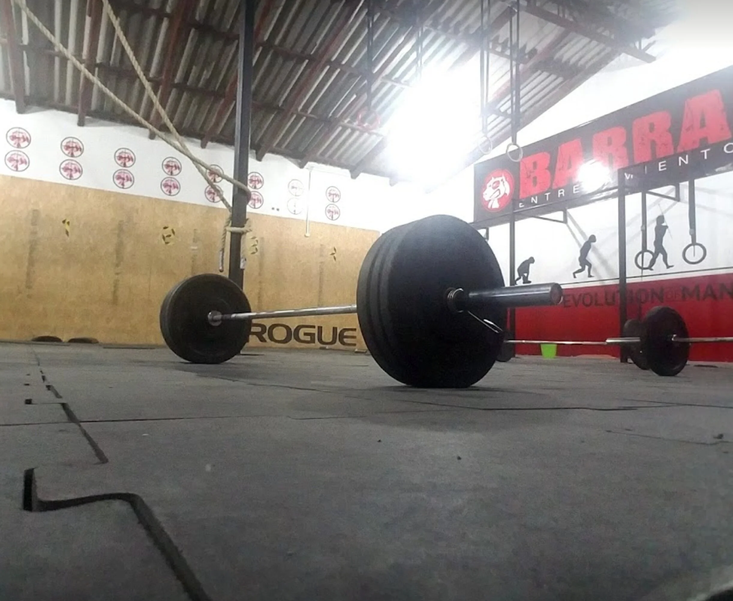 Crossfit-pulso-sede-barracuda-12179