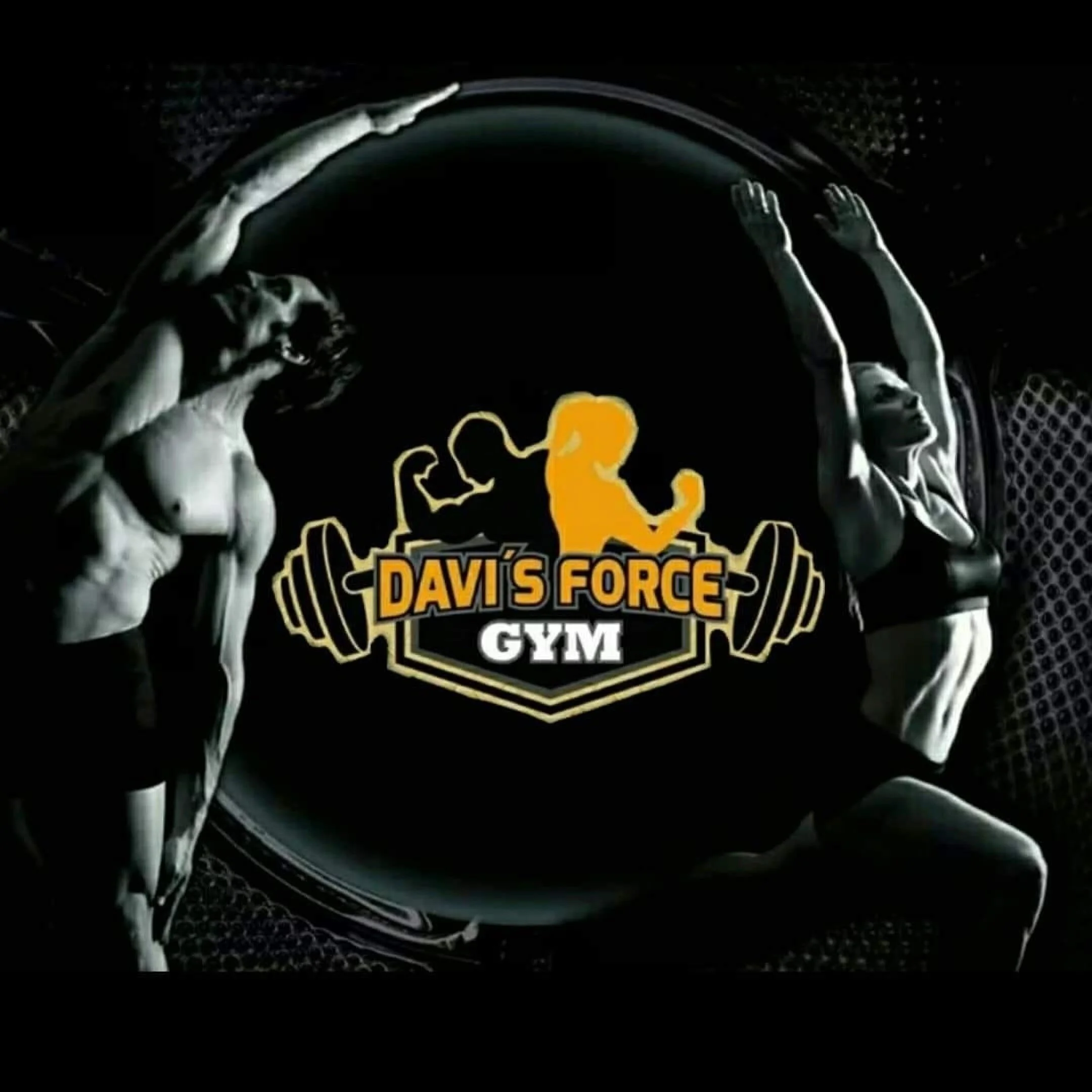 Davi's Force GYM-2040