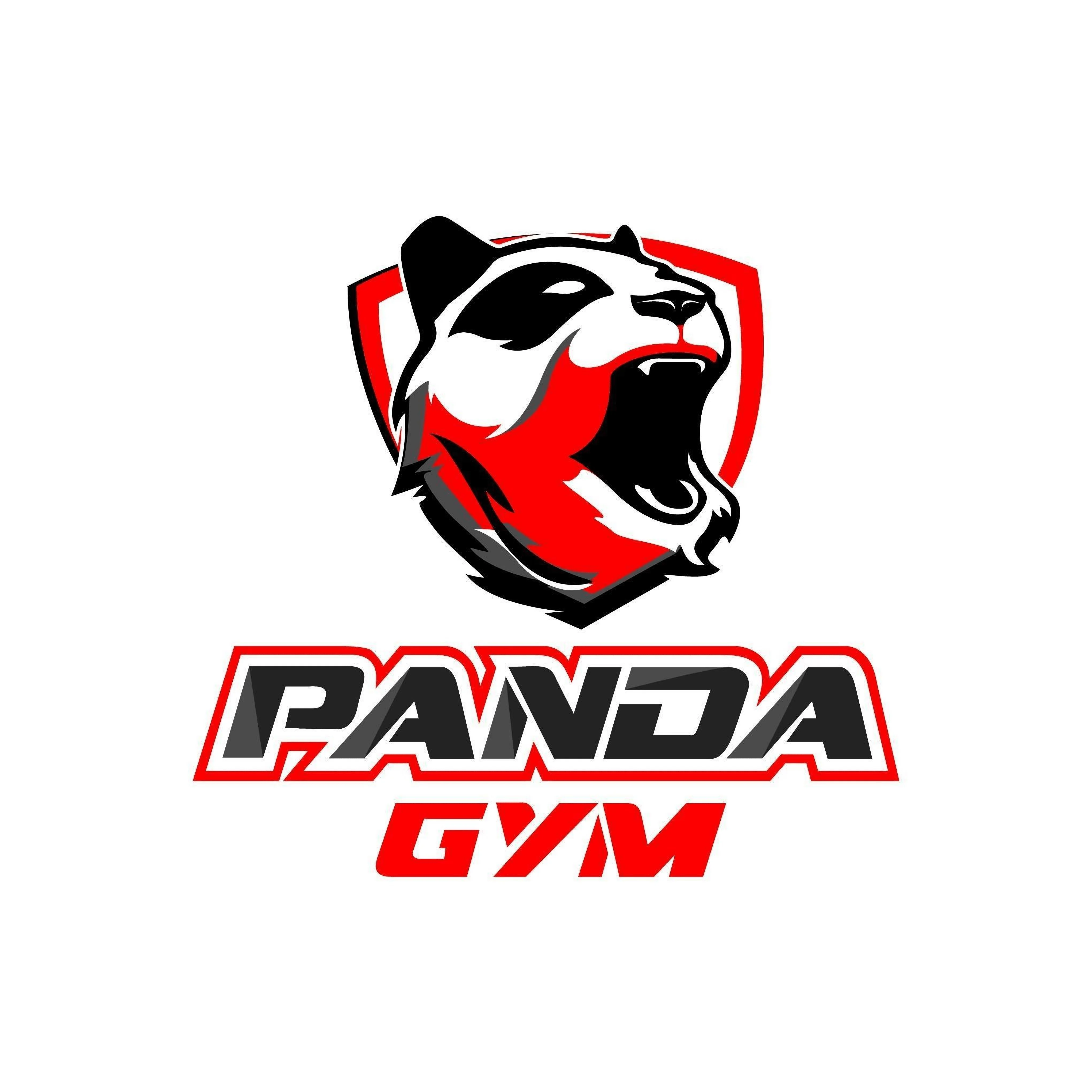 Gimnasio-panda-gym-12933