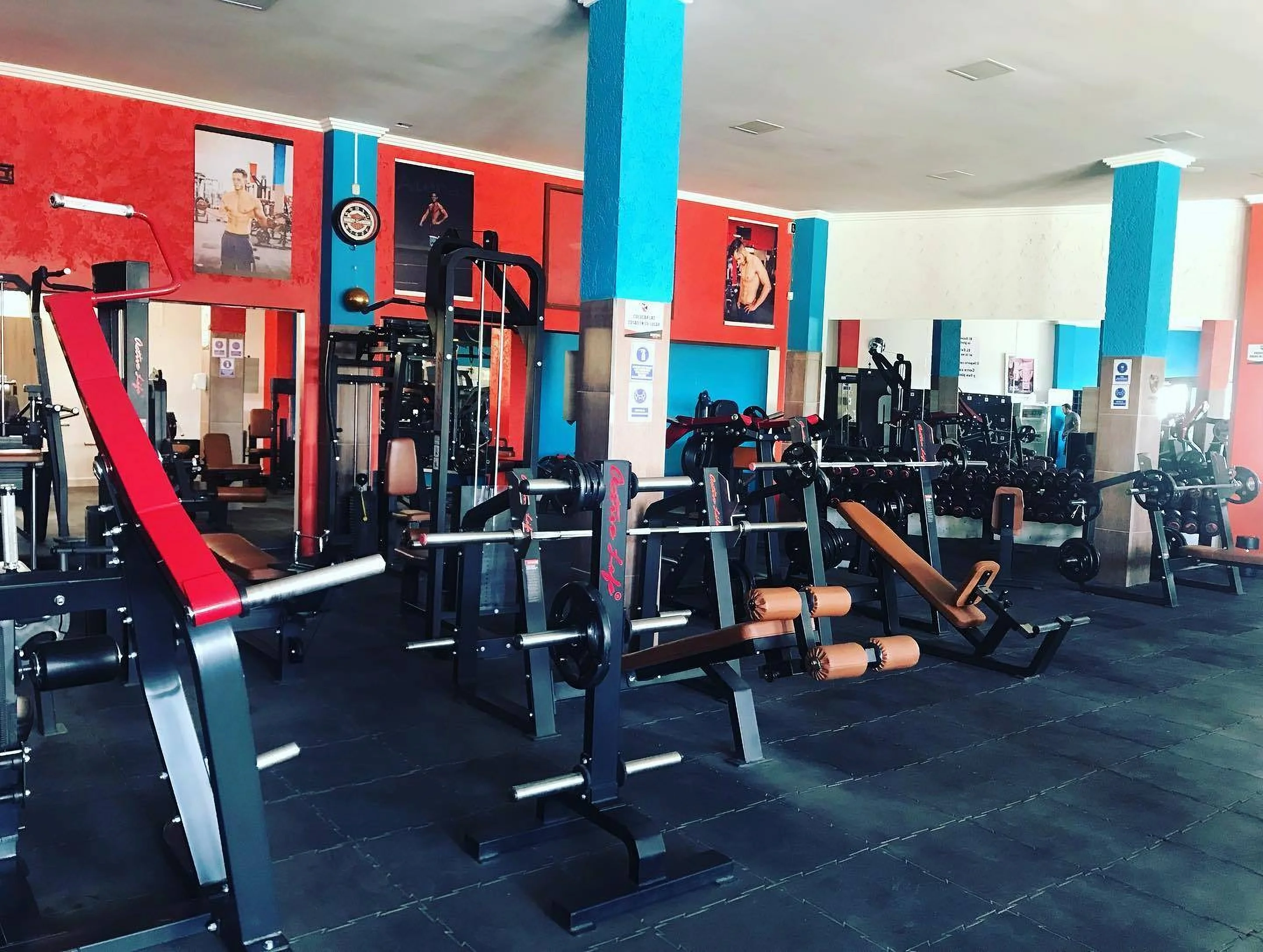 Gimnasio-panda-gym-12934