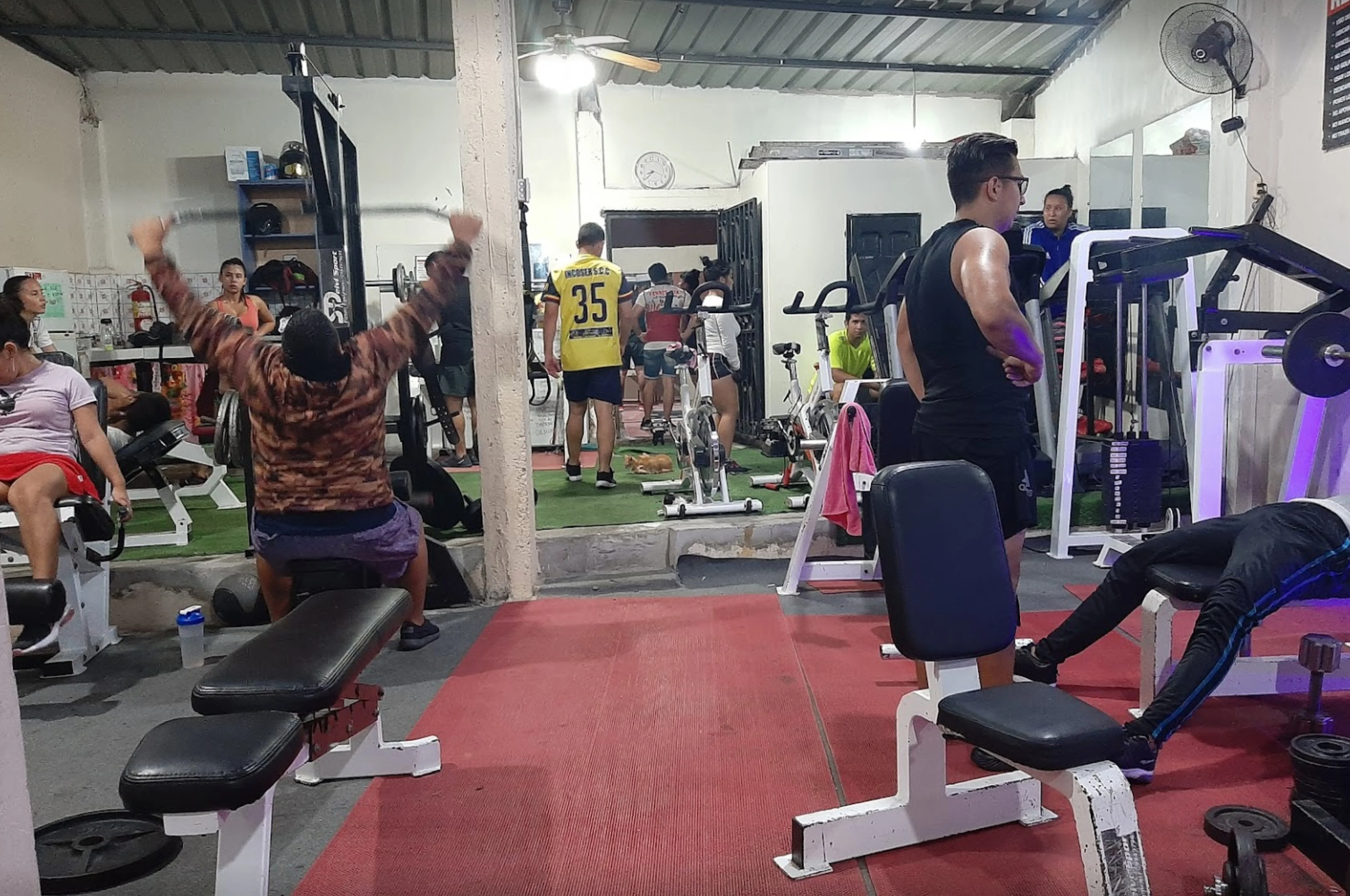 Gimnasio-iron-gym-13222