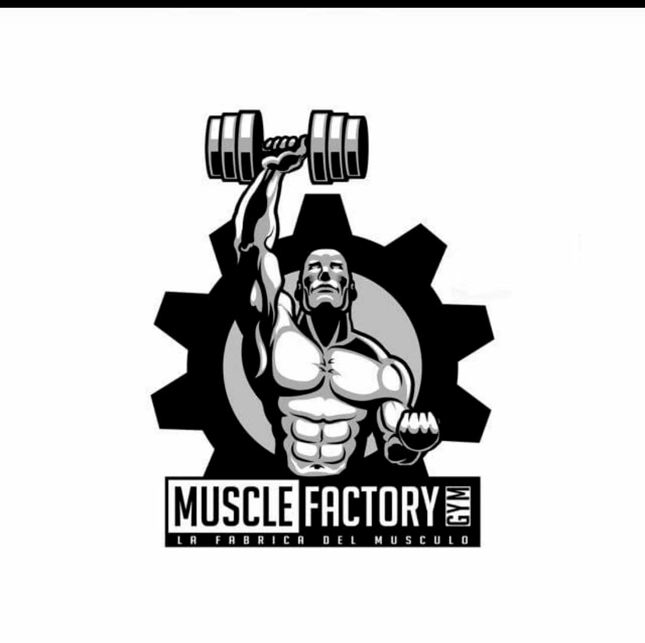 Muscle Factory Gym-2564