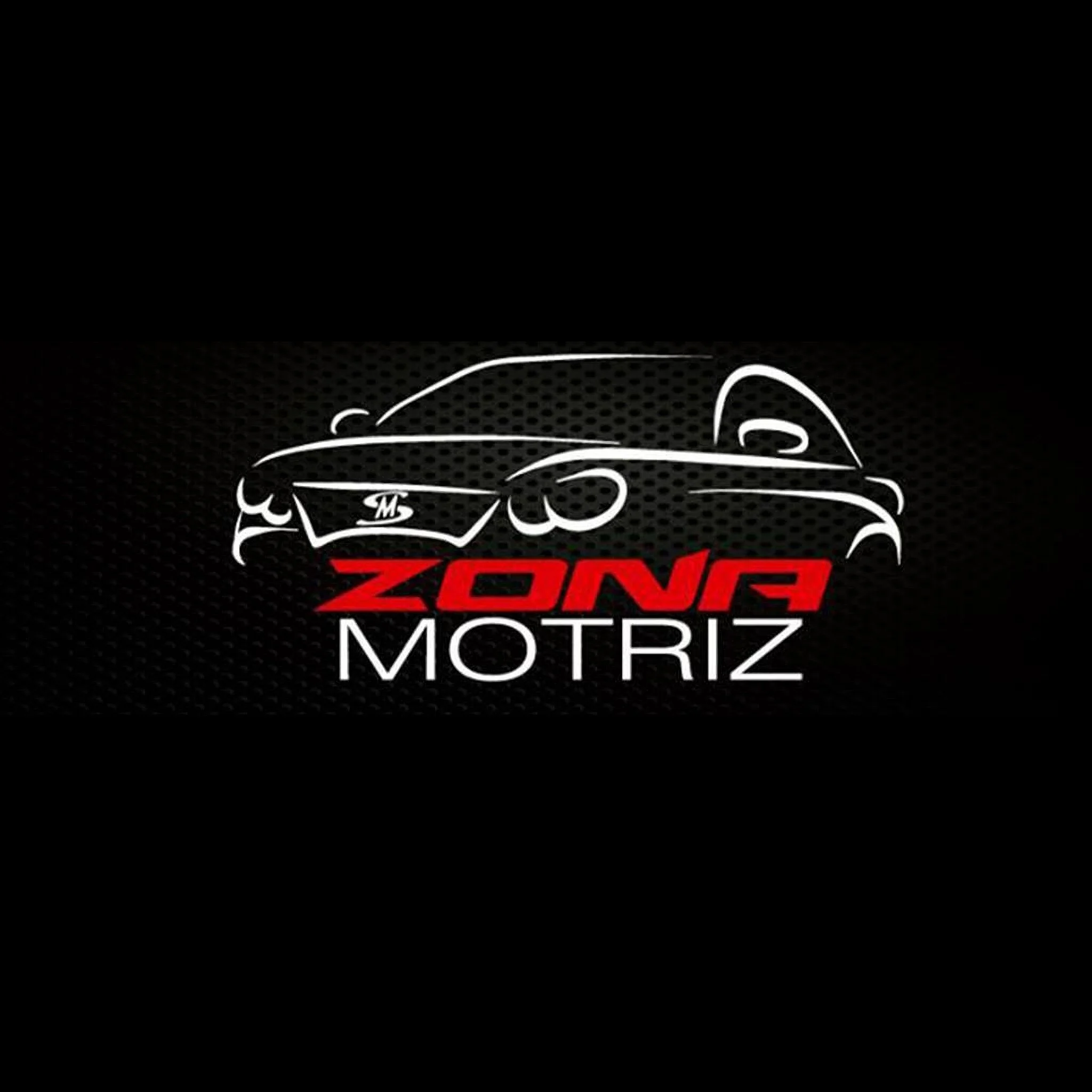 ZONA MOTRIZ MS-2714