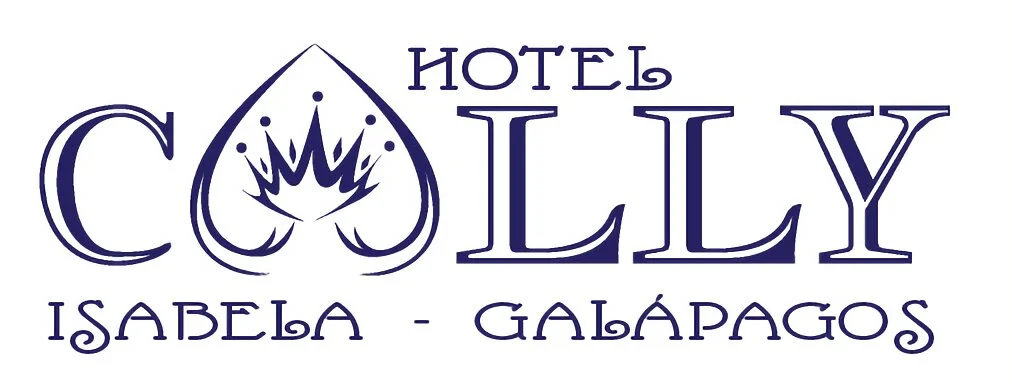 Hoteles-hotel-cally-13851