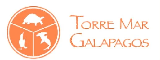 Hoteles-torre-mar-galapagos-boutique-suites-13890