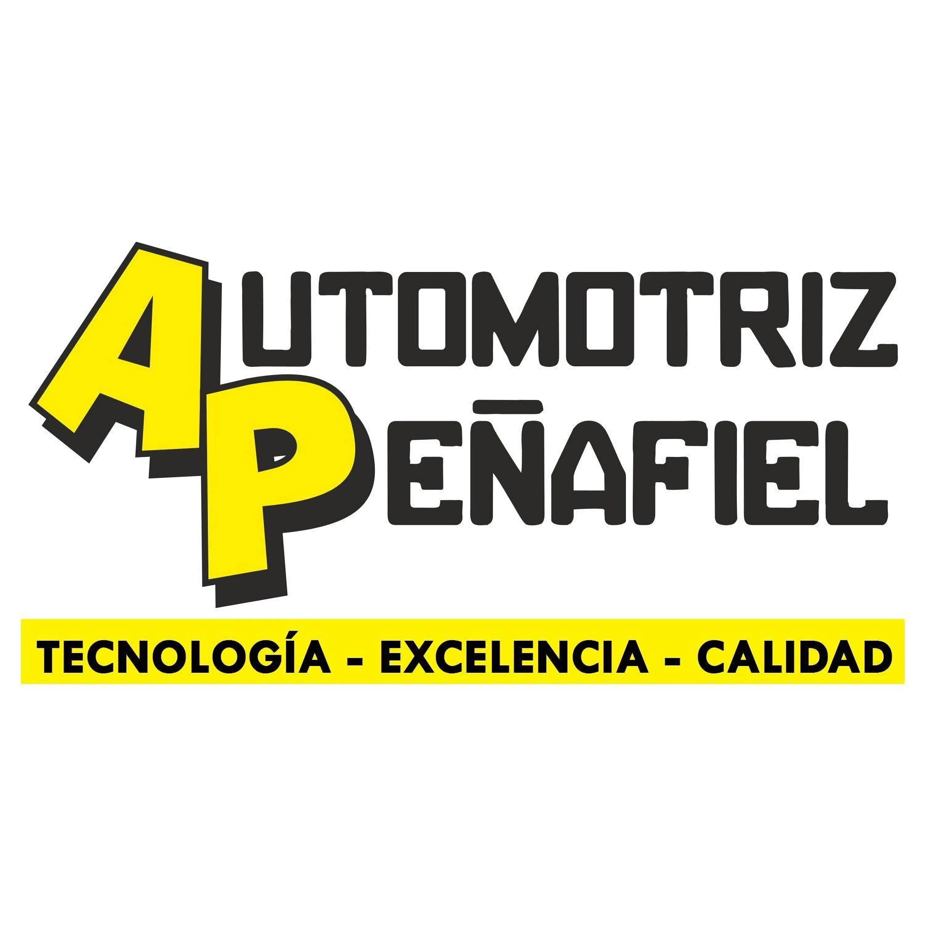 Automotriz Peñafiel-2746