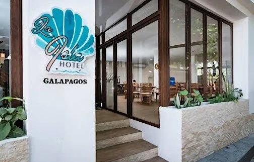 La isla Galapagos hotel-2958