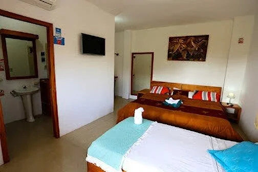 Hoteles-the-galapagos-pearl-hotel-14273
