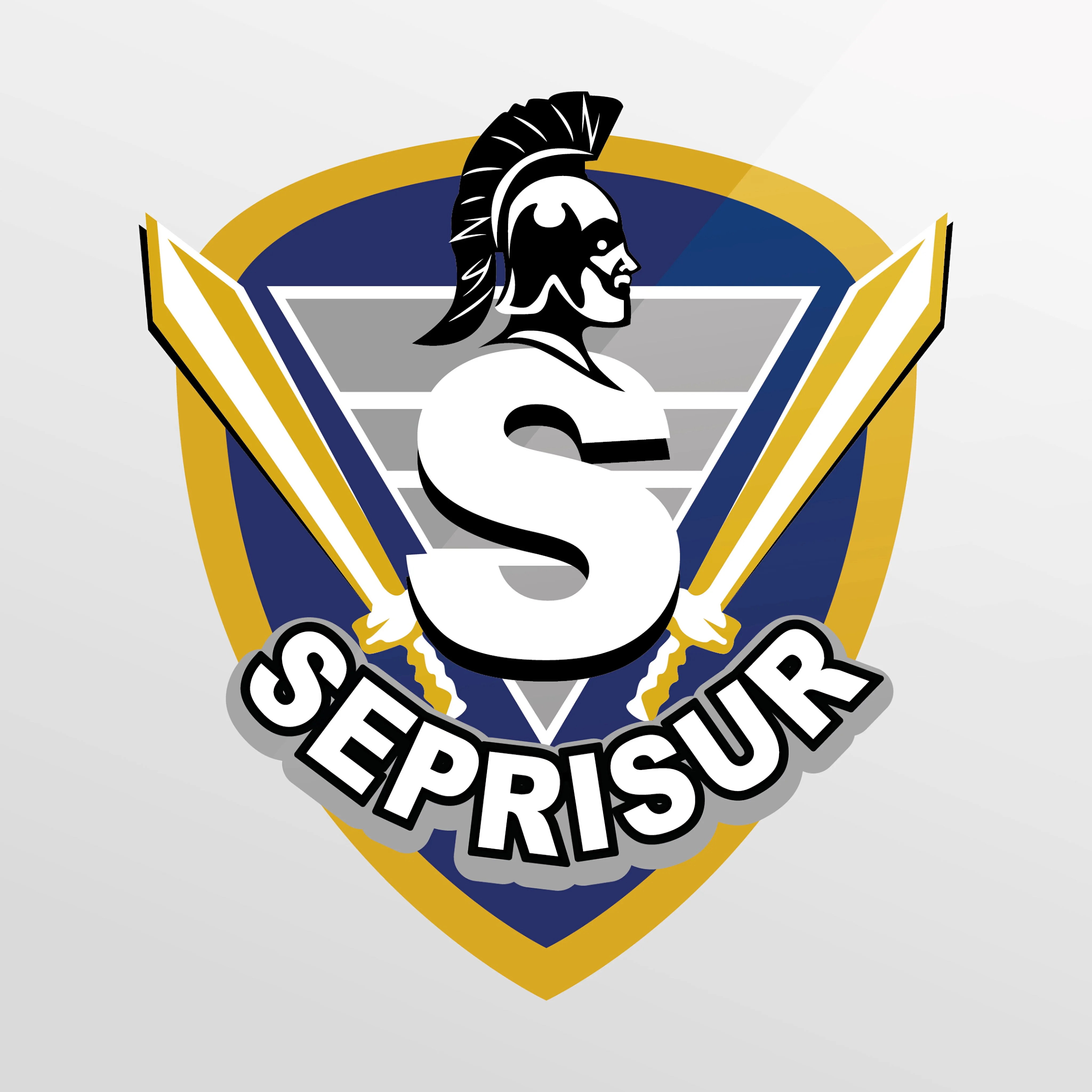 SEPRISUR-3136