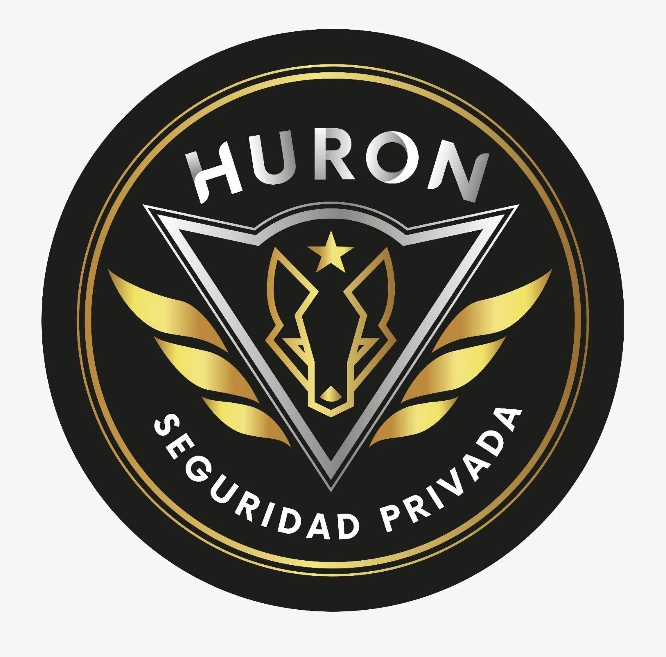 Huron Seguridad Privada-3138