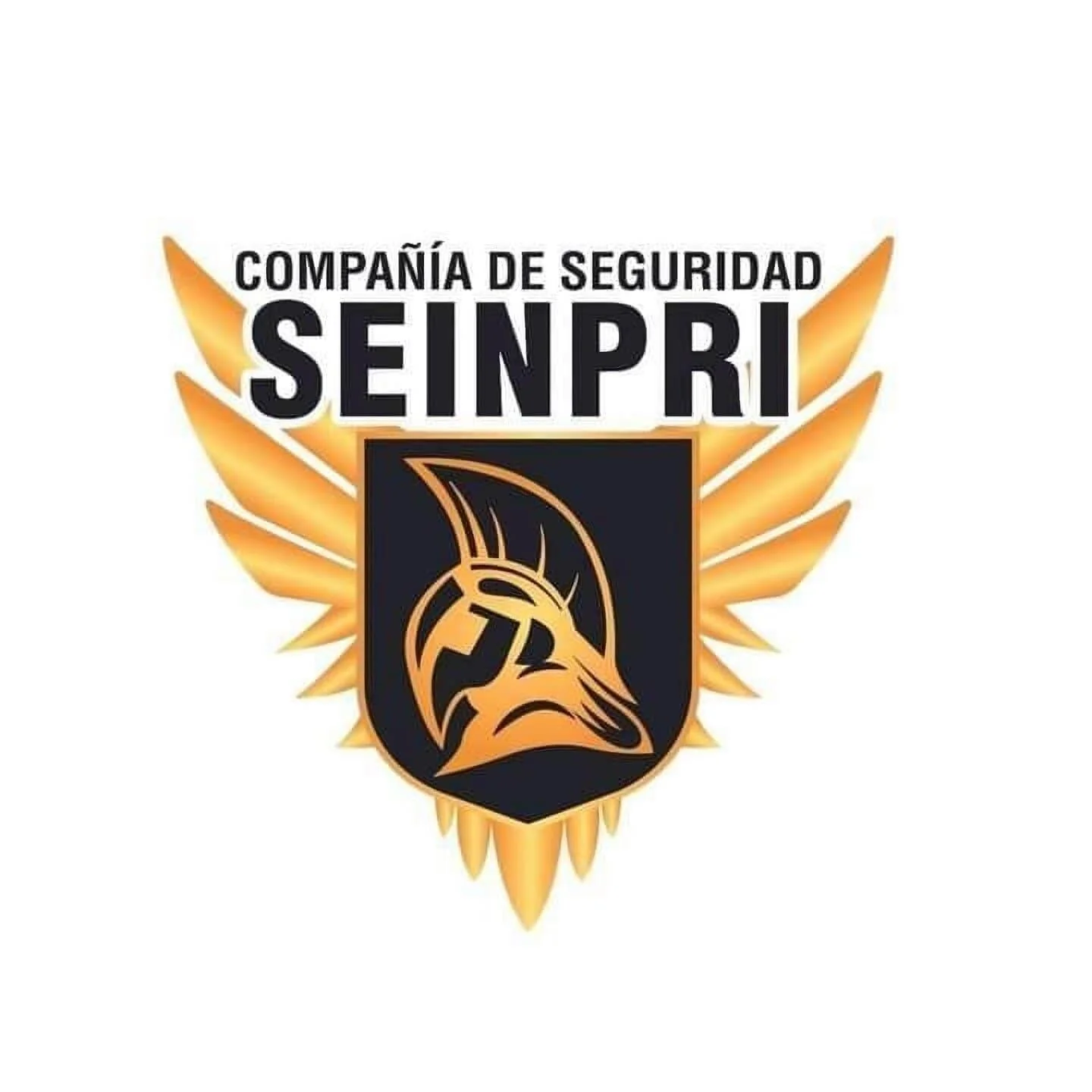 Empresas de seguridad-seinpri-seguridad-privada-14834