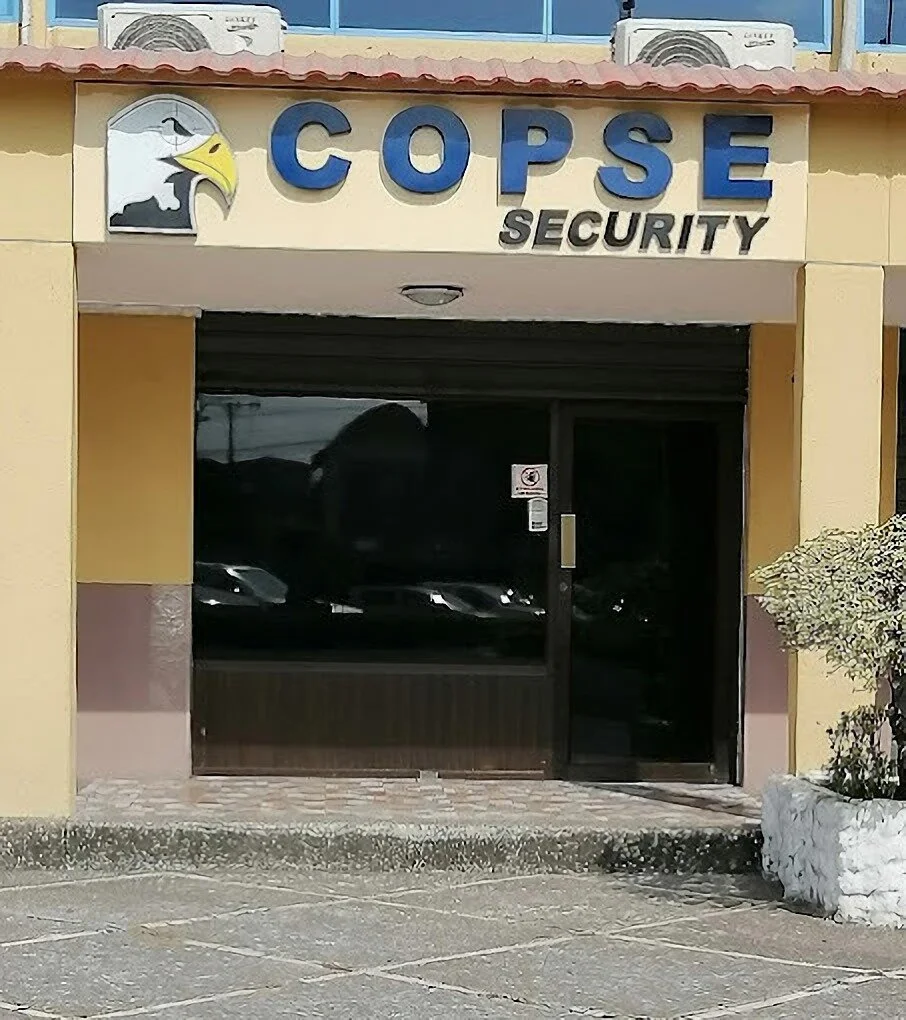 Empresas de seguridad-copse-security-14906