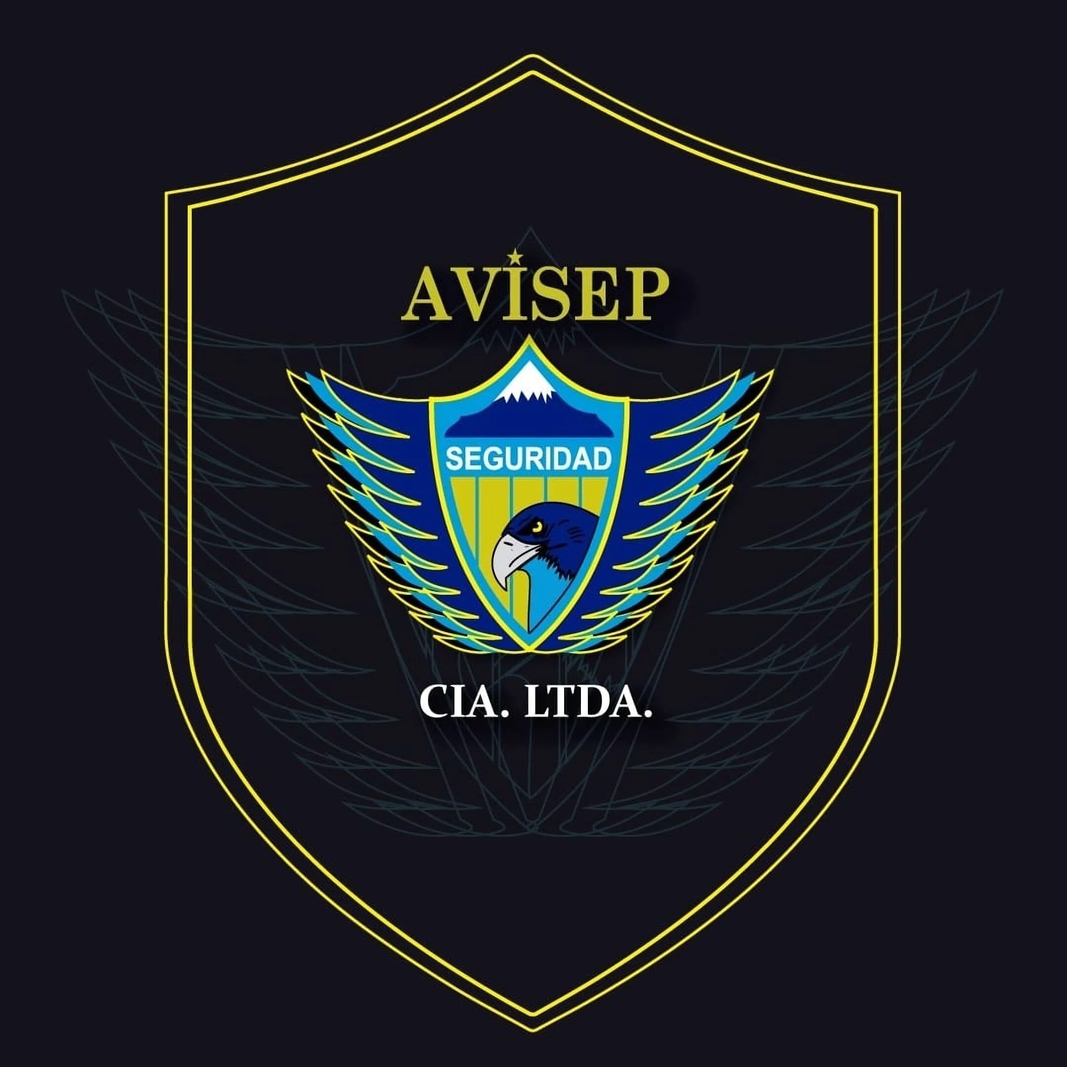 Avisep Cia. Ltda. Seguridad Privada-3162