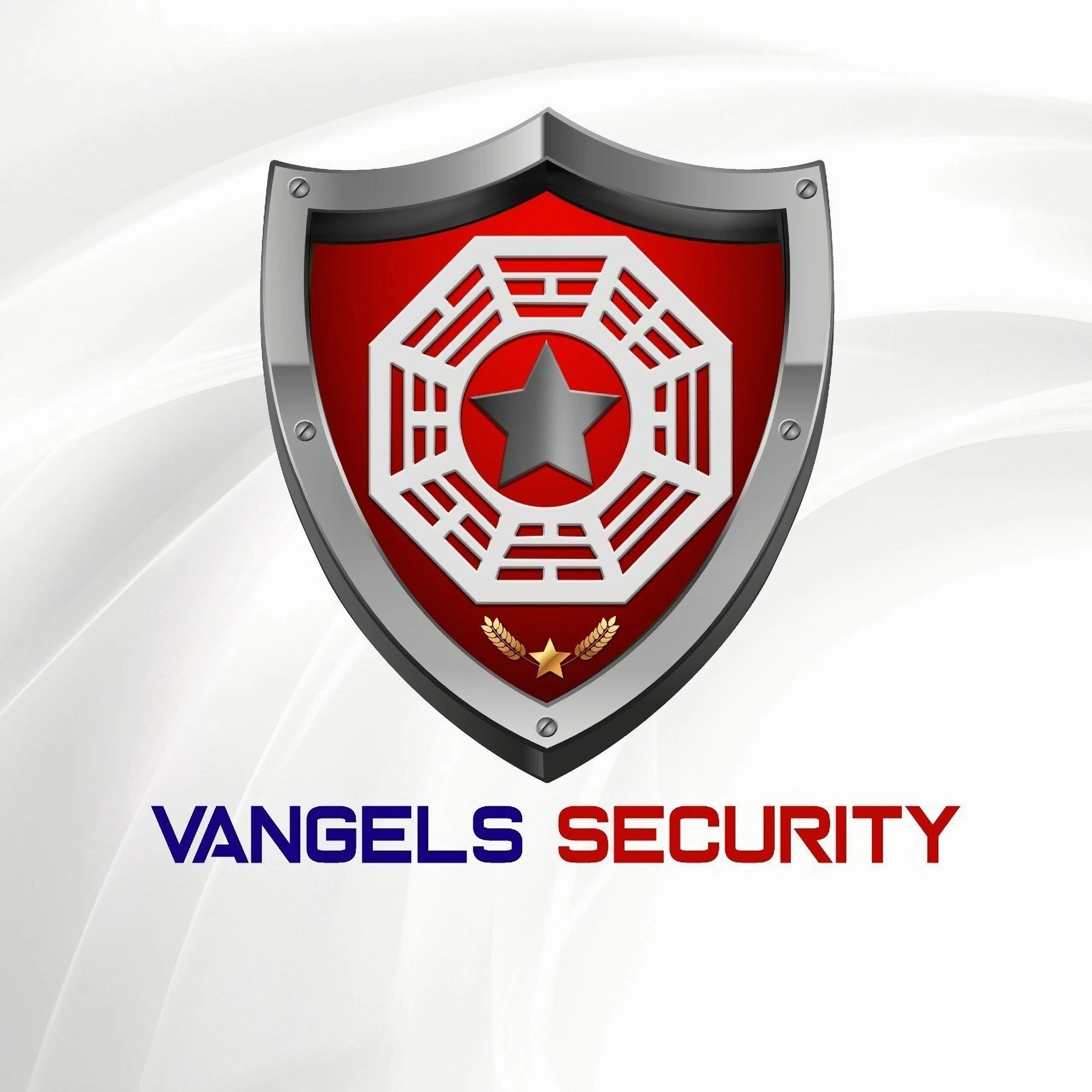 Empresas de seguridad-vangels-security-15020