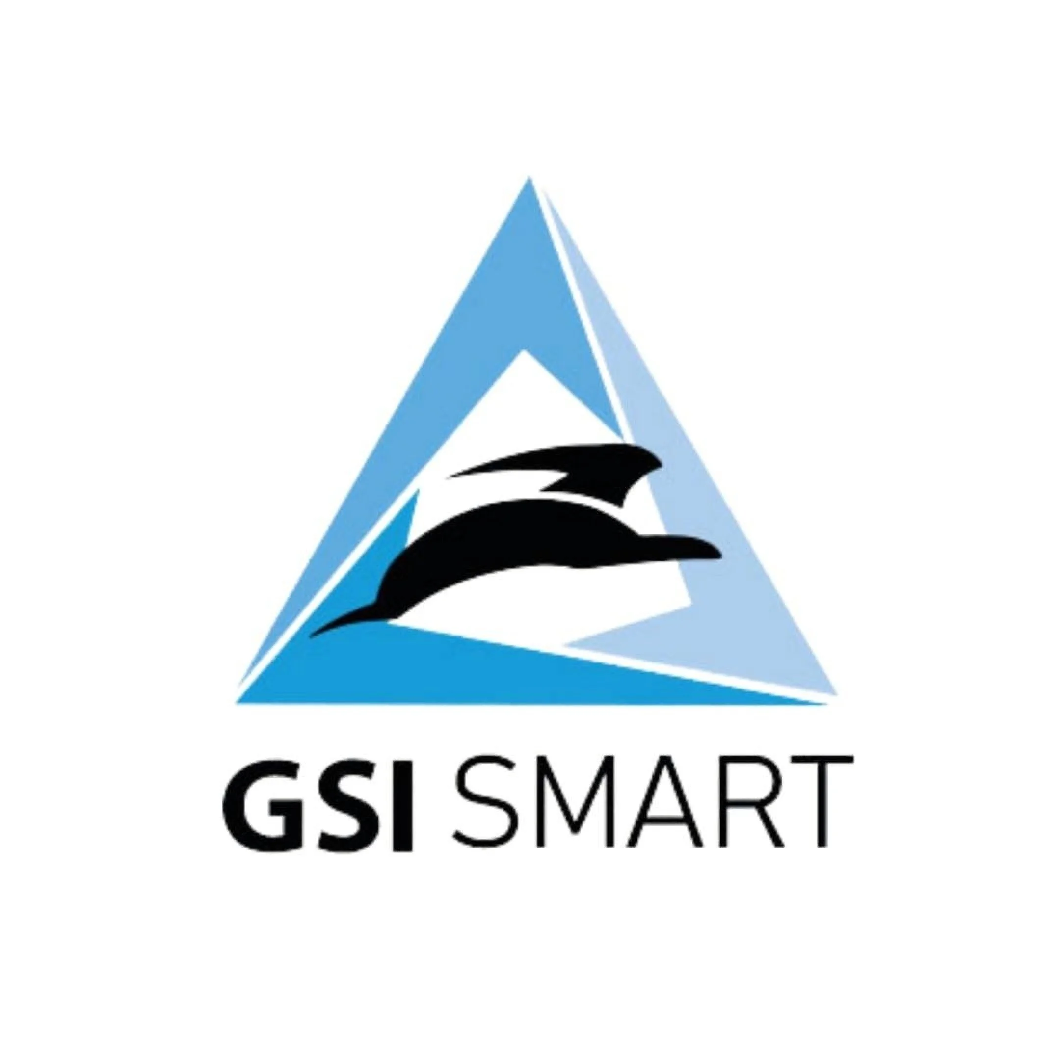 Empresas de seguridad-gsi-smart-15025