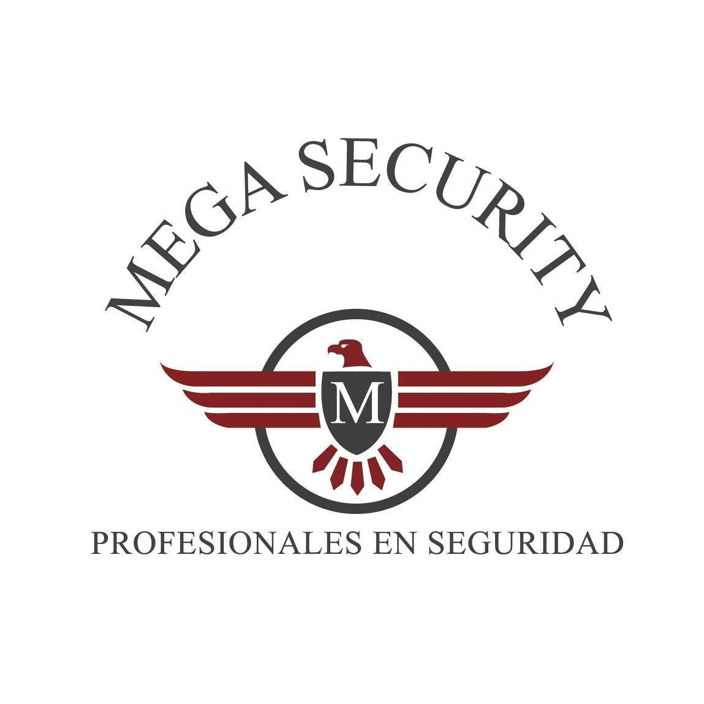 MEGA SECURITY GALME CIA.LTDA.-3242