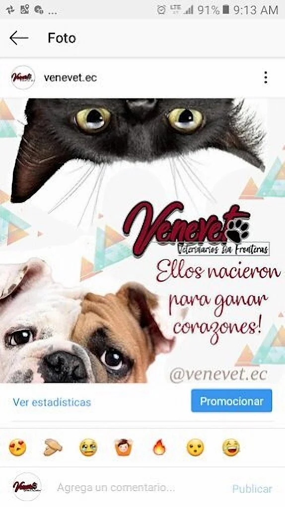 Veterinaria-venevet-15588