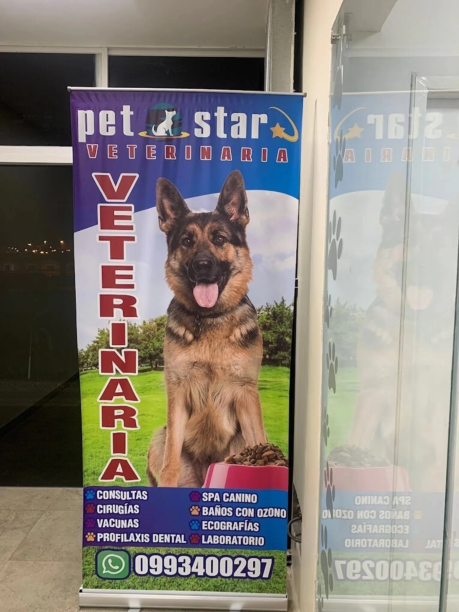 Veterinaria-pet-star-15592