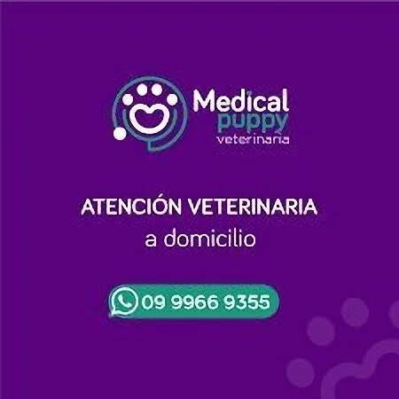 Veterinaria-medical-puppy-15598