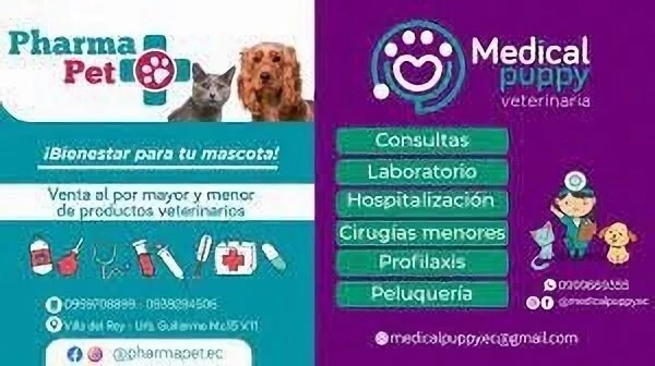 Veterinaria-medical-puppy-15599