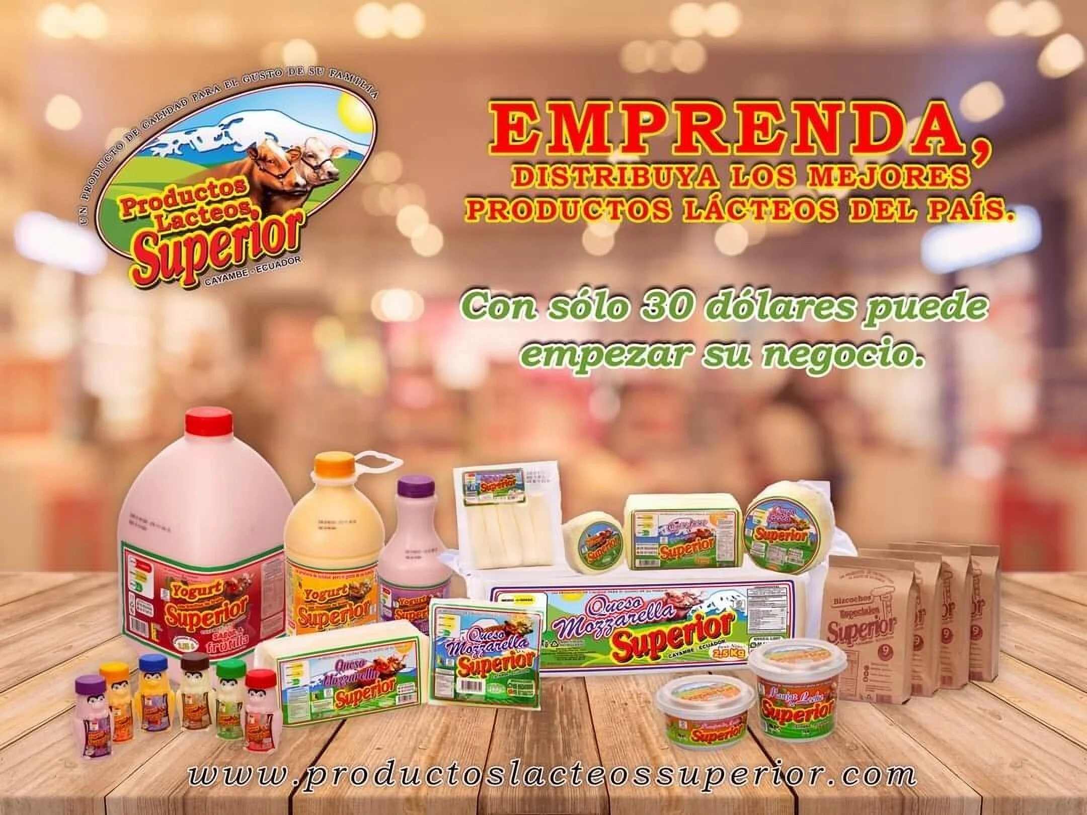 Alimentos-productos-lacteos-superior-16002