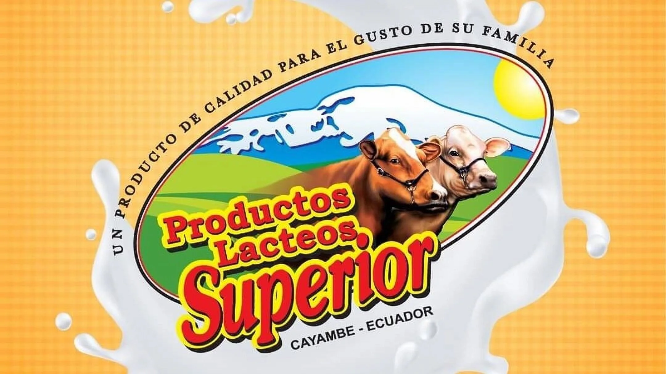 Alimentos-productos-lacteos-superior-16003