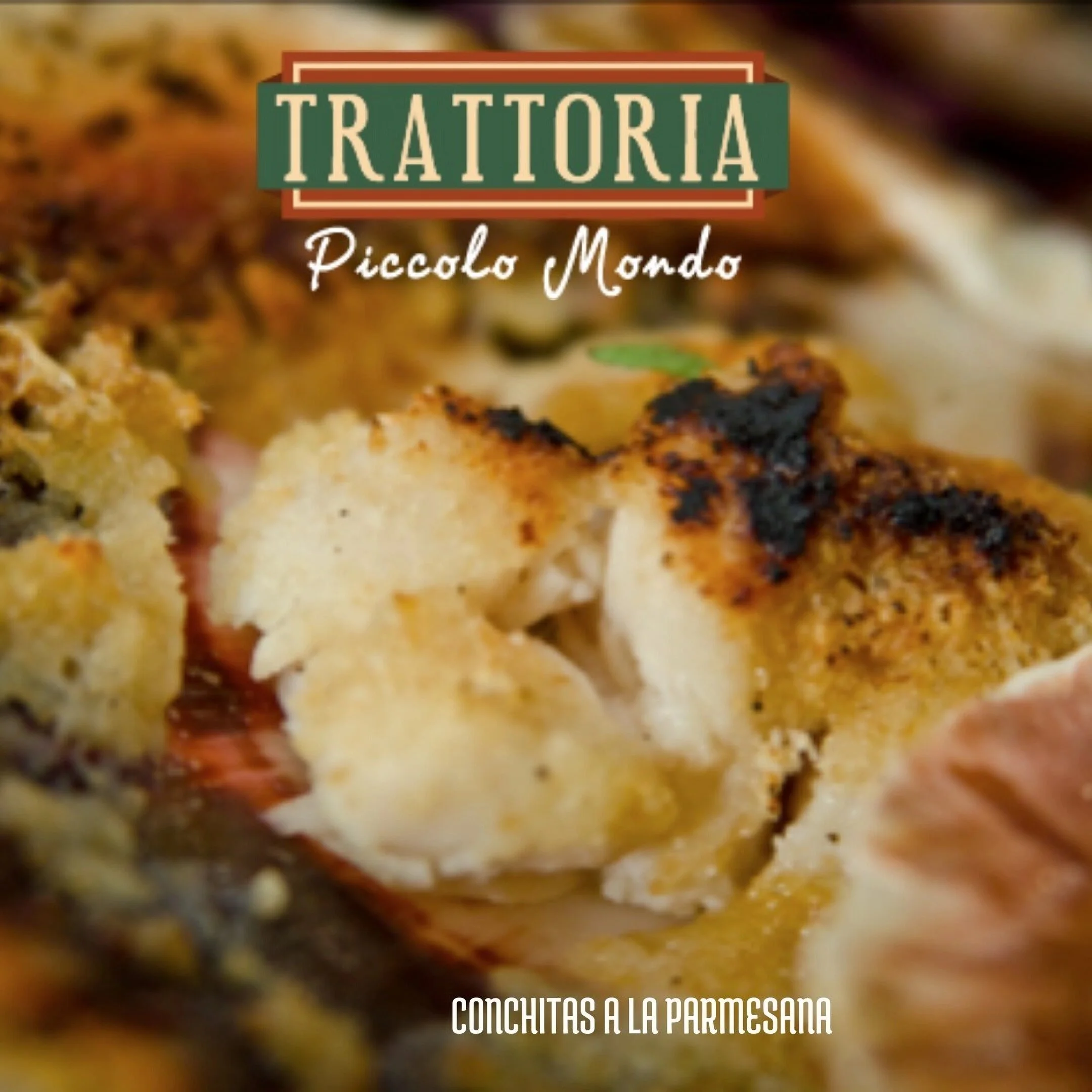 Restaurantes-trattoria-piccolo-mondo-17132