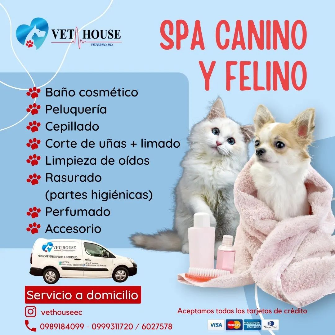 Veterinaria-vet-house-20358