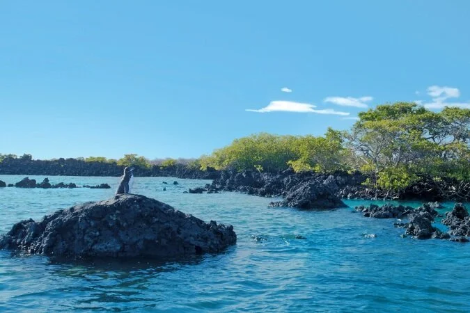 Lugares Turisticos-isla-isabela-20702