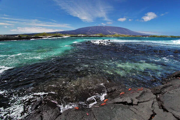 Lugares Turisticos-isla-fernandina-20705