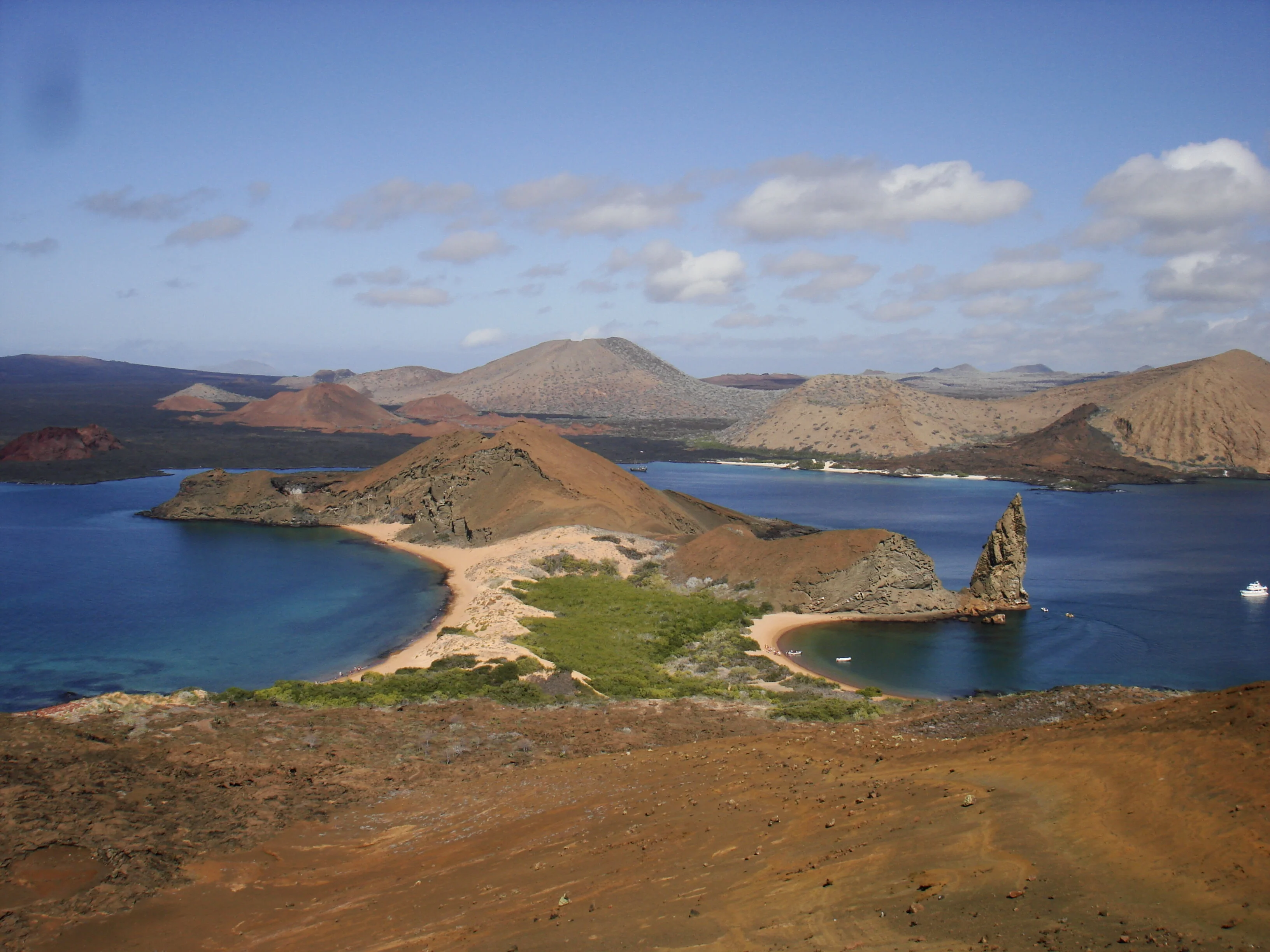 Isla Bartolomé-5646
