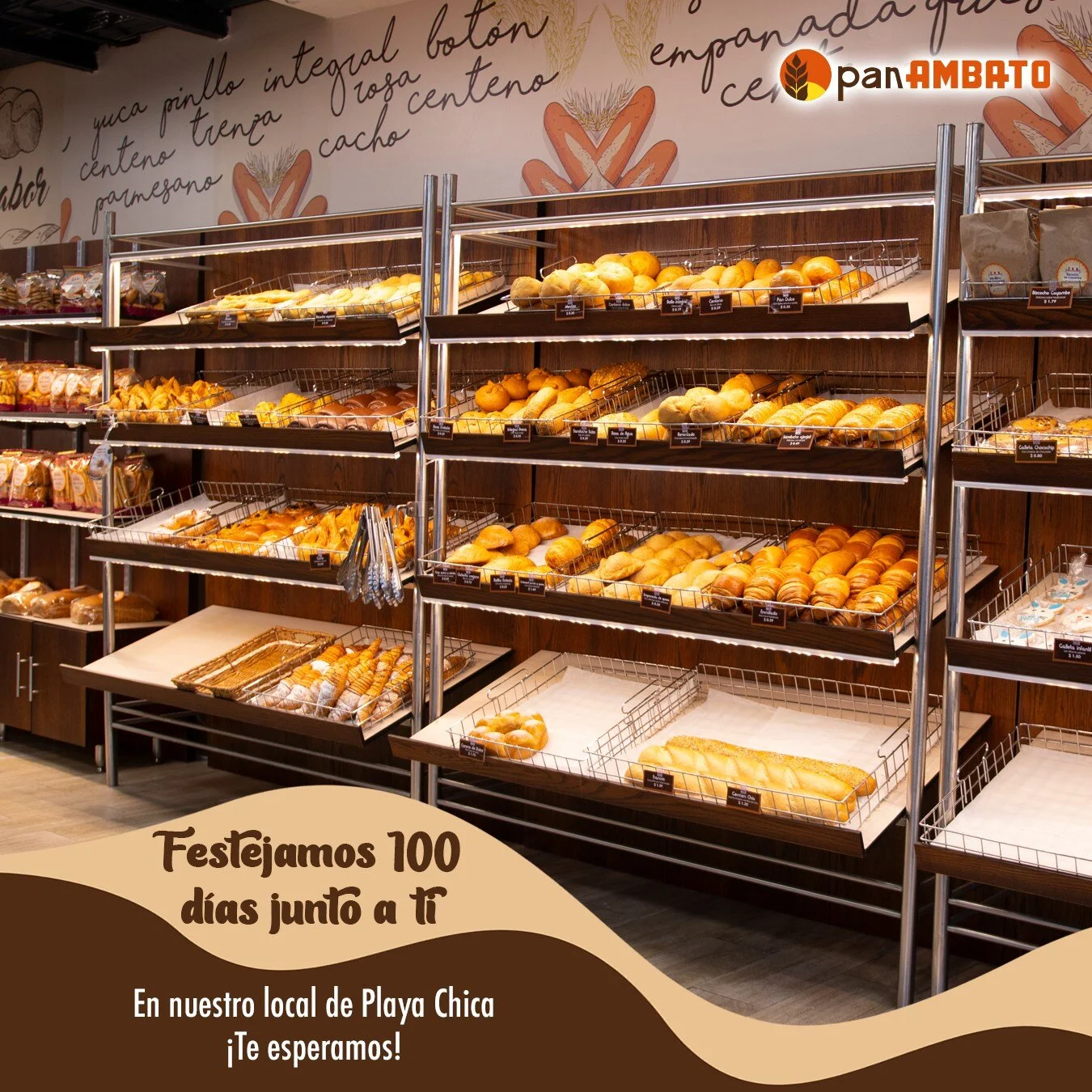 Panaderías-panificadora-ambato-21777