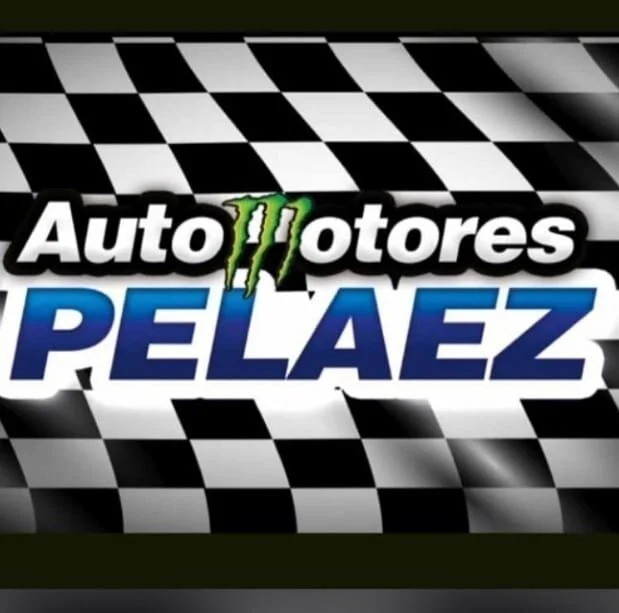 Concesionarios-pelaez-automotores-22353