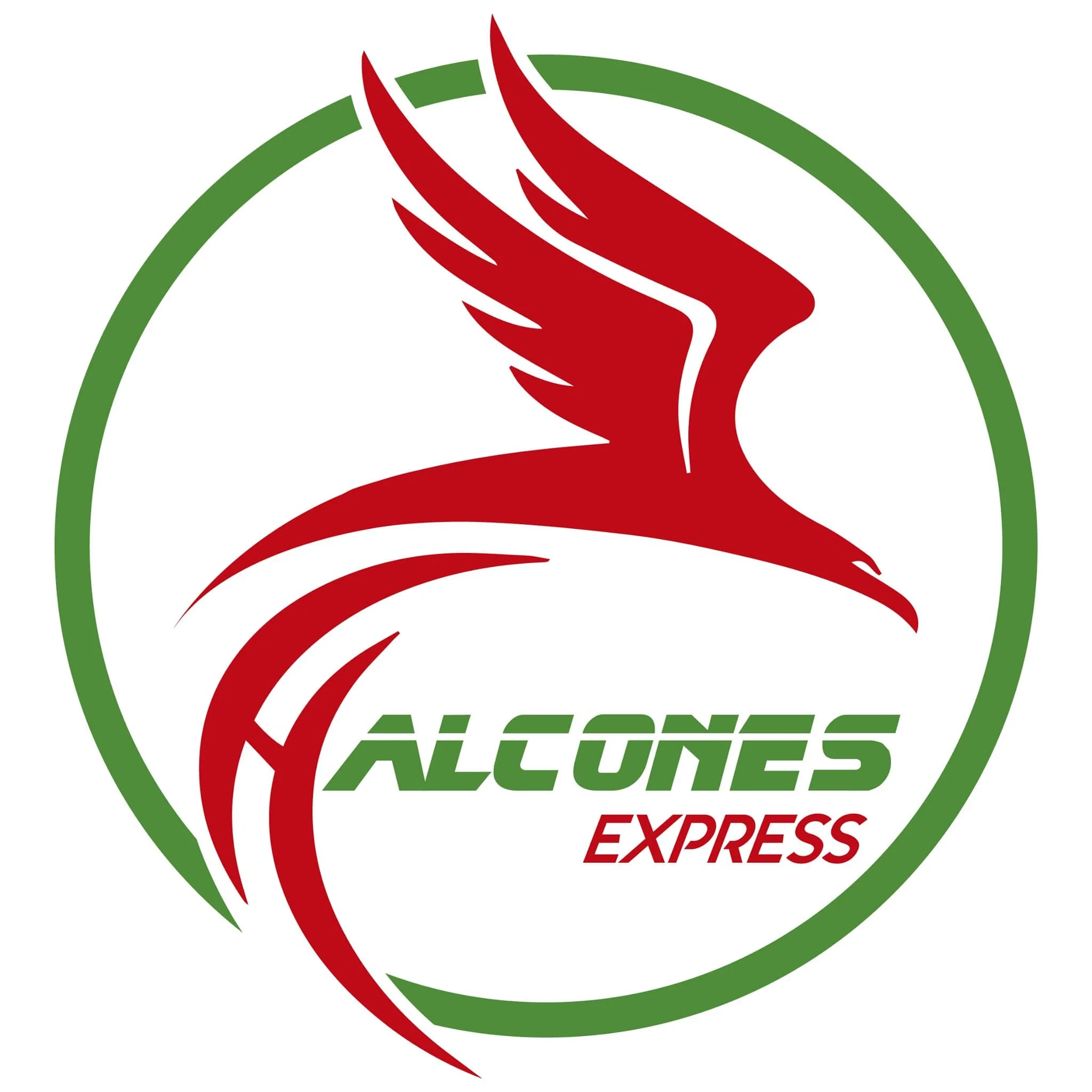 Envío de paquetes-halcones-express-23390