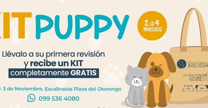 Clínica Veterinaria Solidaria-464