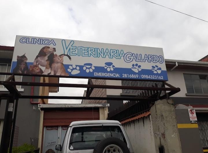 Veterinaria-clinica-veterinaria-gallardo-6920