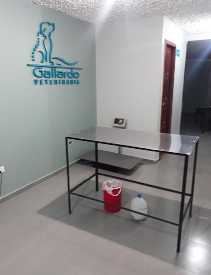 Veterinaria-clinica-veterinaria-gallardo-6921