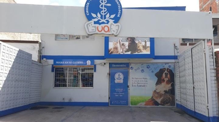 Veterinaria-clinica-veterinaria-guaf-6924