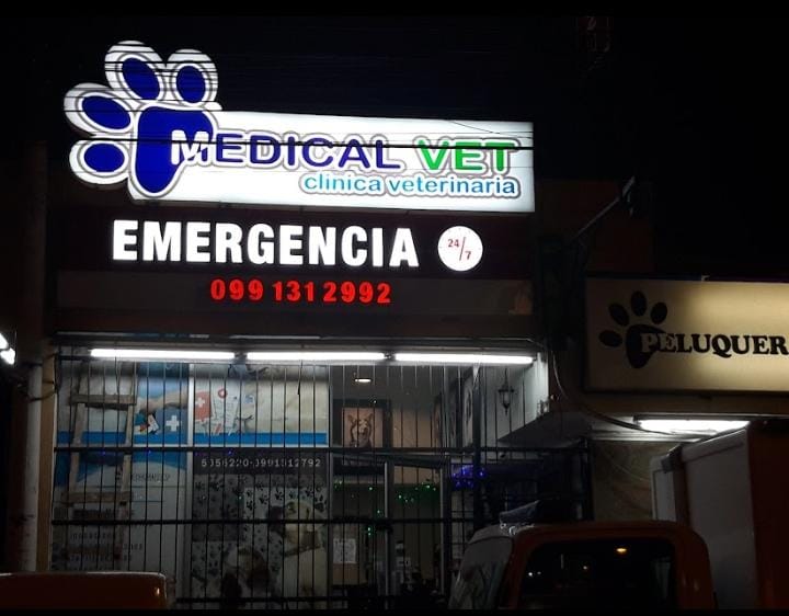 Medical Vet-479