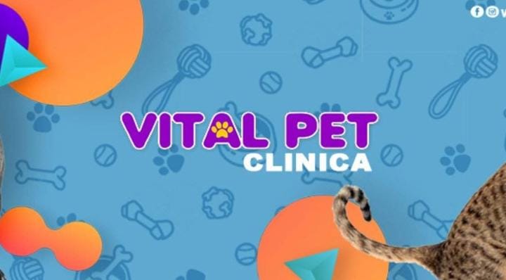 Vitalpet Clinica Veterinaria-514