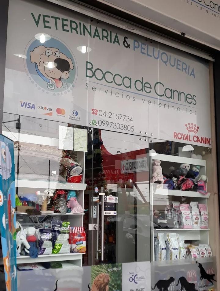 VETERINARIA BOCCA DE CANNES-518